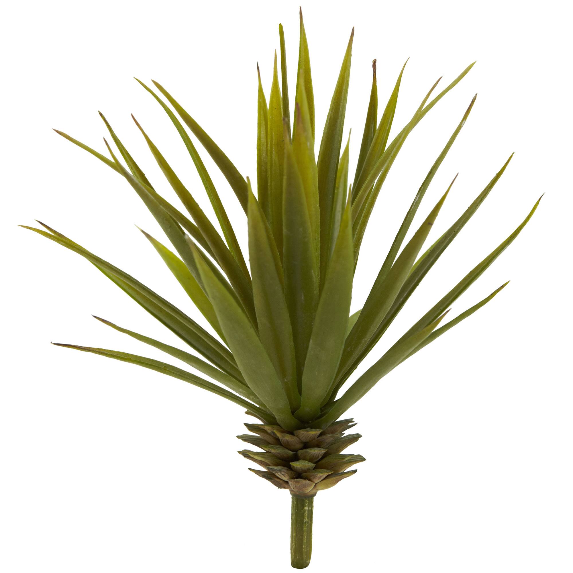 Spiky Agave Succulent Pick, 12ct.